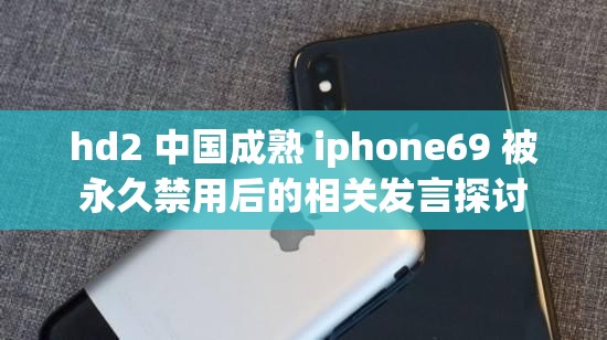 hd2 中國成熟 iphone69 被永久禁用后的相關(guān)發(fā)言探討