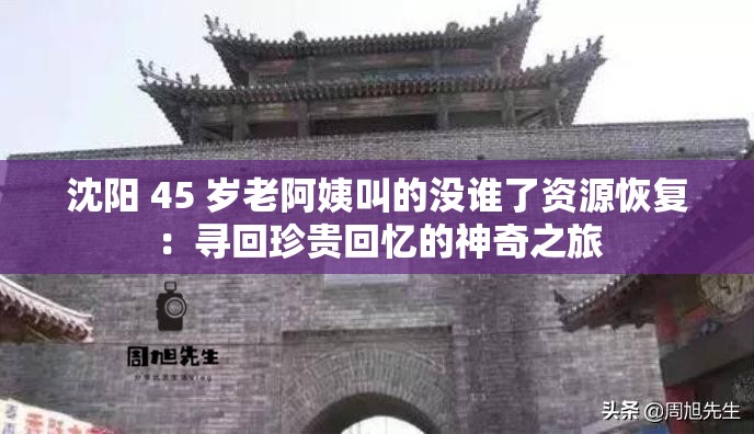 沈陽(yáng) 45 歲老阿姨叫的沒(méi)誰(shuí)了資源恢復(fù)：尋回珍貴回憶的神奇之旅