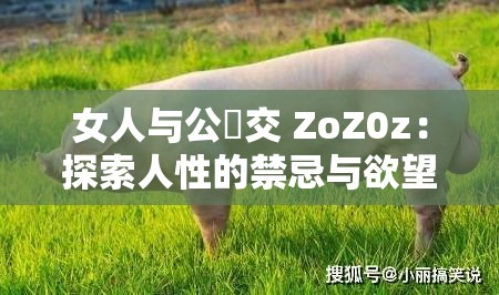 女人與公豬交 ZoZ0z：探索人性的禁忌與欲望