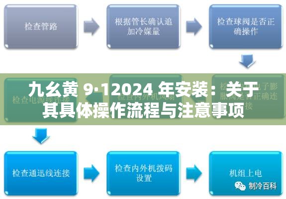 九幺黃 9·12024 年安裝：關(guān)于其具體操作流程與注意事項(xiàng)