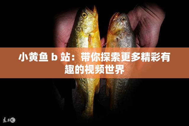 小黃魚 b 站：帶你探索更多精彩有趣的視頻世界