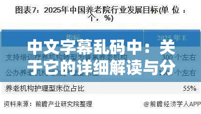 中文字幕亂碼中：關(guān)于它的詳細解讀與分析