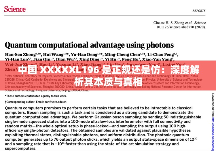 中國 XXXXXL196 是正規(guī)還是仿：深度解析其本質(zhì)與真相