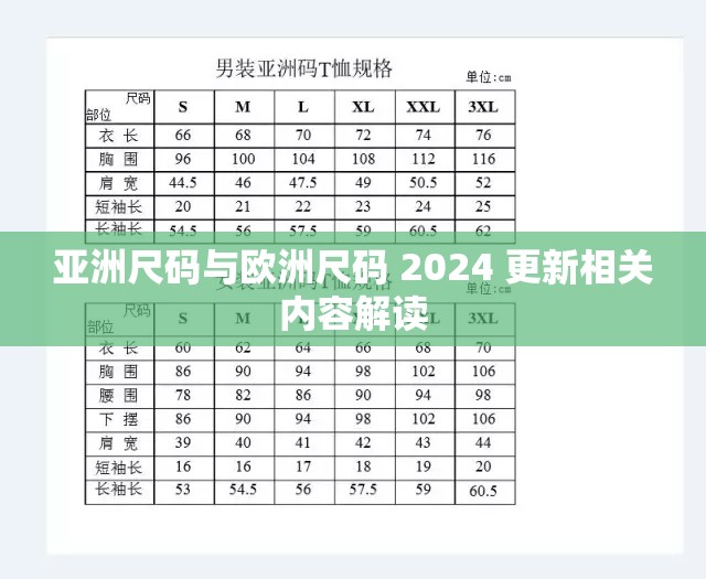 亞洲尺碼與歐洲尺碼 2024 更新相關(guān)內(nèi)容解讀