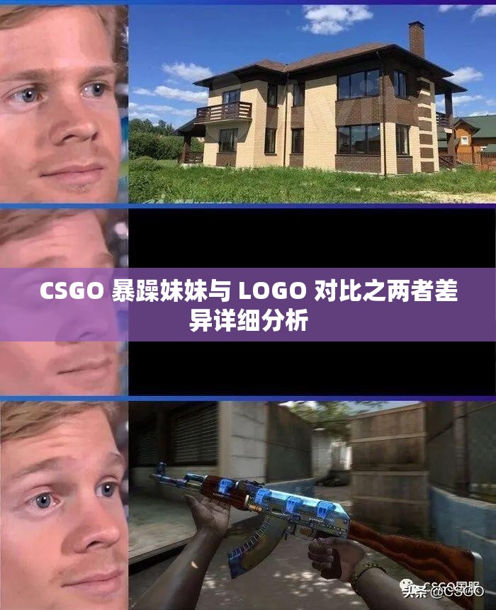 CSGO 暴躁妹妹與 LOGO 對比之兩者差異詳細(xì)分析