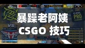 暴躁老阿姨 CSGO 技巧迎來榜一大哥粉絲：打游戲還能收獲愛情？