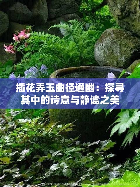 插花弄玉曲徑通幽：探尋其中的詩意與靜謐之美