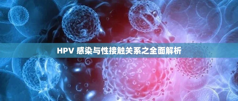 HPV 感染與性接觸關(guān)系之全面解析