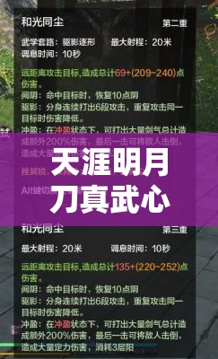 天涯明月刀真武心法深度解析，全面解鎖并提升你的戰(zhàn)斗潛能與策略