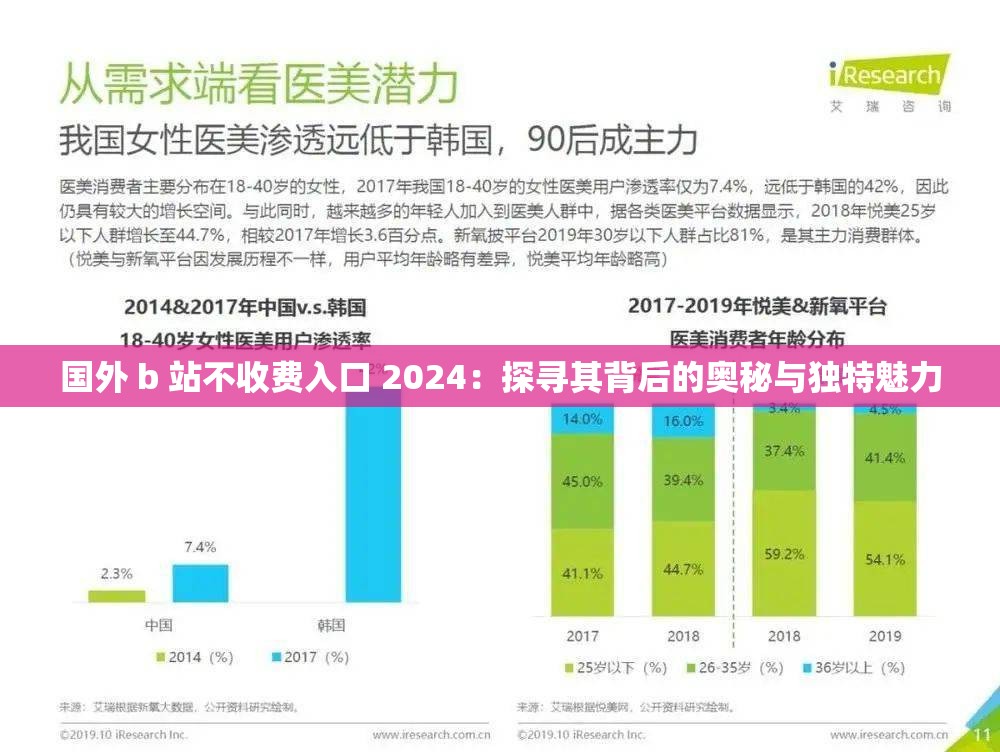 國外 b 站不收費入口 2024：探尋其背后的奧秘與獨特魅力