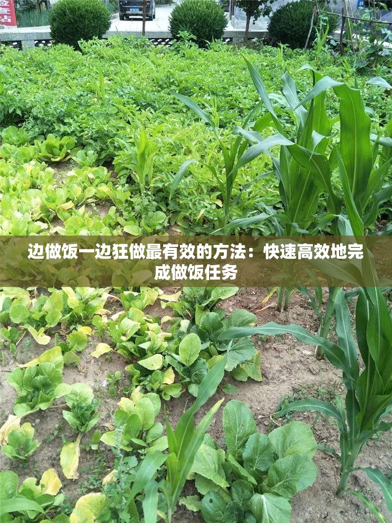 邊做飯一邊狂做最有效的方法：快速高效地完成做飯任務