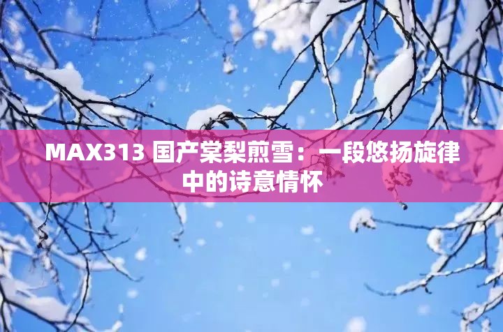 MAX313 國產(chǎn)棠梨煎雪：一段悠揚旋律中的詩意情懷