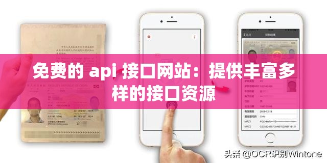 免費的 api 接口網(wǎng)站：提供豐富多樣的接口資源