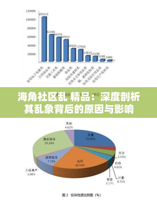 海角社區(qū)亂 精品：深度剖析其亂象背后的原因與影響