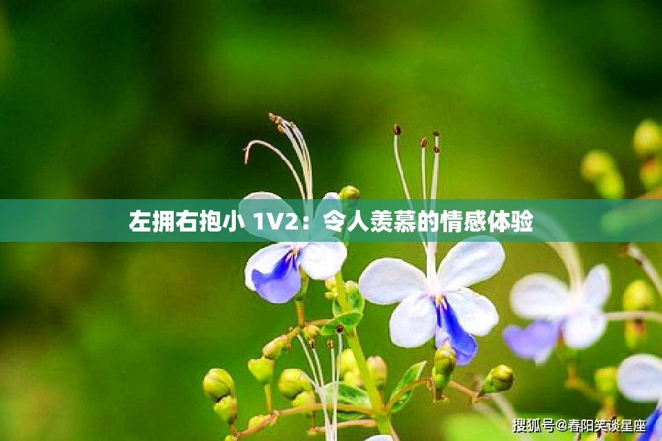 左擁右抱小 1V2：令人羨慕的情感體驗