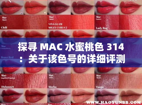 探尋 MAC 水蜜桃色 314：關(guān)于該色號的詳細(xì)評測與使用心得分享