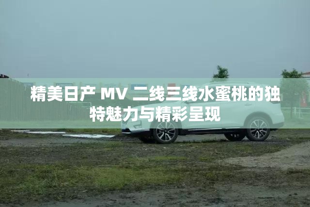 精美日產(chǎn) MV 二線三線水蜜桃的獨(dú)特魅力與精彩呈現(xiàn)