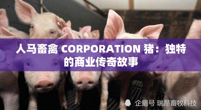 人馬畜禽 CORPORATION 豬：獨(dú)特的商業(yè)傳奇故事