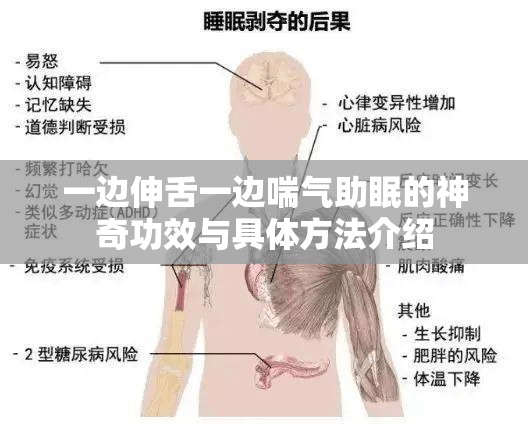 一邊伸舌一邊喘氣助眠的神奇功效與具體方法介紹