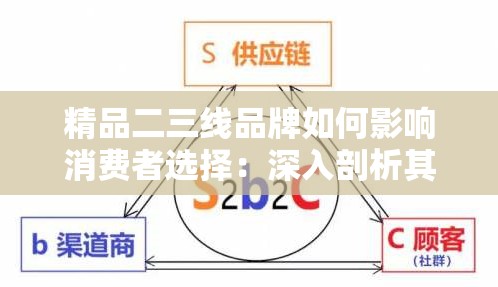 精品二三線品牌如何影響消費(fèi)者選擇：深入剖析其作用機(jī)制