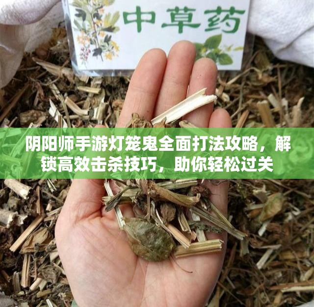 陰陽(yáng)師手游燈籠鬼全面打法攻略，解鎖高效擊殺技巧，助你輕松過(guò)關(guān)