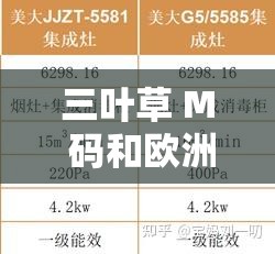 三葉草 M 碼和歐洲碼區(qū)別-尺碼差異與選購指南