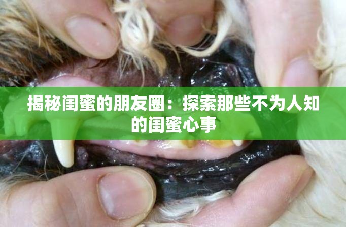 揭秘閨蜜的朋友圈：探索那些不為人知的閨蜜心事